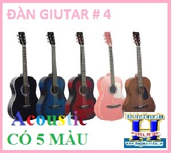 +Đàn Guitar :Acoustic Guitar Rogue Starter (Có 5 Màu)