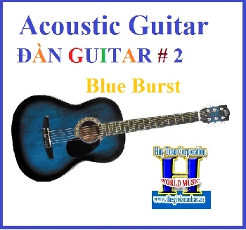 Đàn Guitar # 2 :Acoustic Guitar Rogue Starter (Blue Burst)