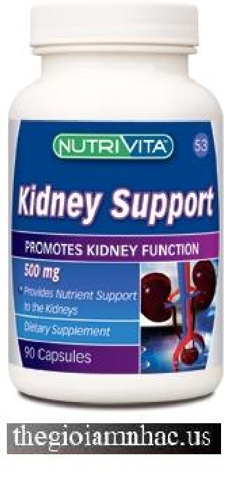 Kidney Support - Thận Hỗ Trợ