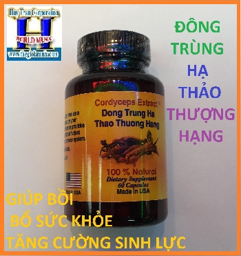 + Đông Trùng Hạ Thảo Thượng Hạng New(Loại Mới Cực Tốt)