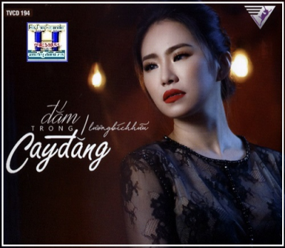 +        CD Lương Bích Hữu:Đắm Trong Cay Đắng.