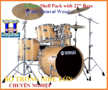 Bộ Trống Chuyên Nghiệp/5-Piece Shell Pack with 22\" Bass