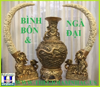 + A - Bình Bôn & Ngà Đại (Cao Hơn 3 Gang Tay)