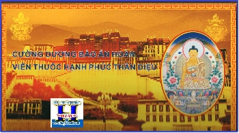 Cương Dương Bảo Ấn Hoàn (Hộp 10 Viên)