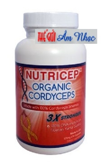 Organic Cordyceps Sinensis - Đông Trùng Hạ Thảo (90 Vien)