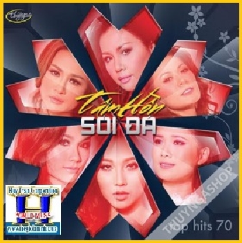 + A - CD Top Hits 70 :Tâm Hồn Sỏi Đá .